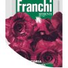 Frenchi Red Chicory Rossa di Verona Tardiva Large Pack 12g