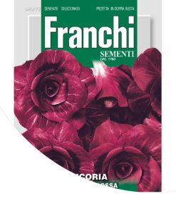 frenchi-chicory-rossa