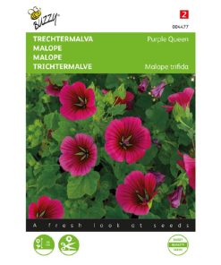Buzzy Malope Funnel Mallow seeds Purple Queen 1.5g (044772)