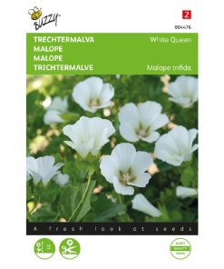 Buzzy Malope Funnel Mallow seeds White Queen 1.5g (044765)