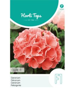 Alternative view of HT Pelargonium, Geranium seeds Cherie F1 10s