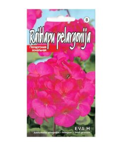 Geranium Zonal Geranium Eva H seeds 5s - Image 2