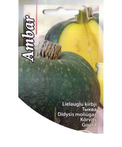 gourd-pumpkin-ambar-f1-seeds