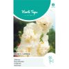 HT Althaea (Alcea) Hollyhock Majorette Champagne 1g