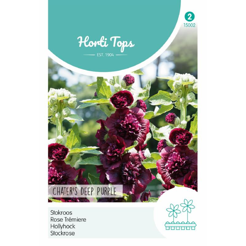 hollyhock charters deep purple