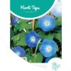 ht-morning-glory-clarke's-blue