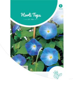 ht-morning-glory-clarke's-blue
