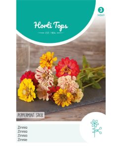 HT Zinnia Seeds Peppermint Stick 1g