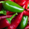 Chili Pepper Seeds Jalepino