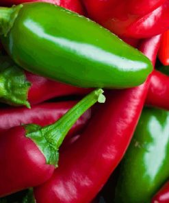 Chili Pepper Seeds Jalepino