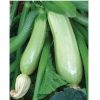 Marrow Top Kapi F1