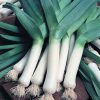 Leek De Carentan2