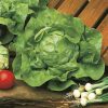 Lettuce Meikoningin