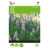 Buzzy Lupine seeds Pixie Delight Mixed 2g (044703)