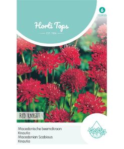 Alternative view of HT Macedonian Scabious seeds Red Knight 0.25g