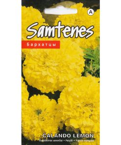 marigold-calando-lemon