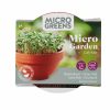Buzzy Microgreens Terracotta Bowl Kale