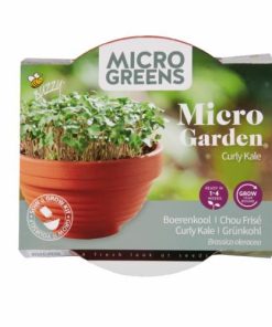 Buzzy Microgreens Terracotta Bowl Kale