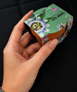 passion-flower-mini-pot