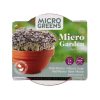 Buzzy Microgreens Terracotta Bowl Red Mizuna