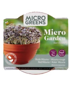 Buzzy Microgreens Terracotta Bowl Red Mizuna