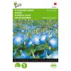 Buzzy Ipomoea seeds Morning Glory Clark's Blue 2g (043928)