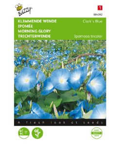 Buzzy Ipomoea seeds Morning Glory Clark's Blue 2g (043928)