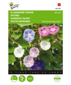 Buzzy Ipomoea seeds Morning Glory Mixed 2g (043904)