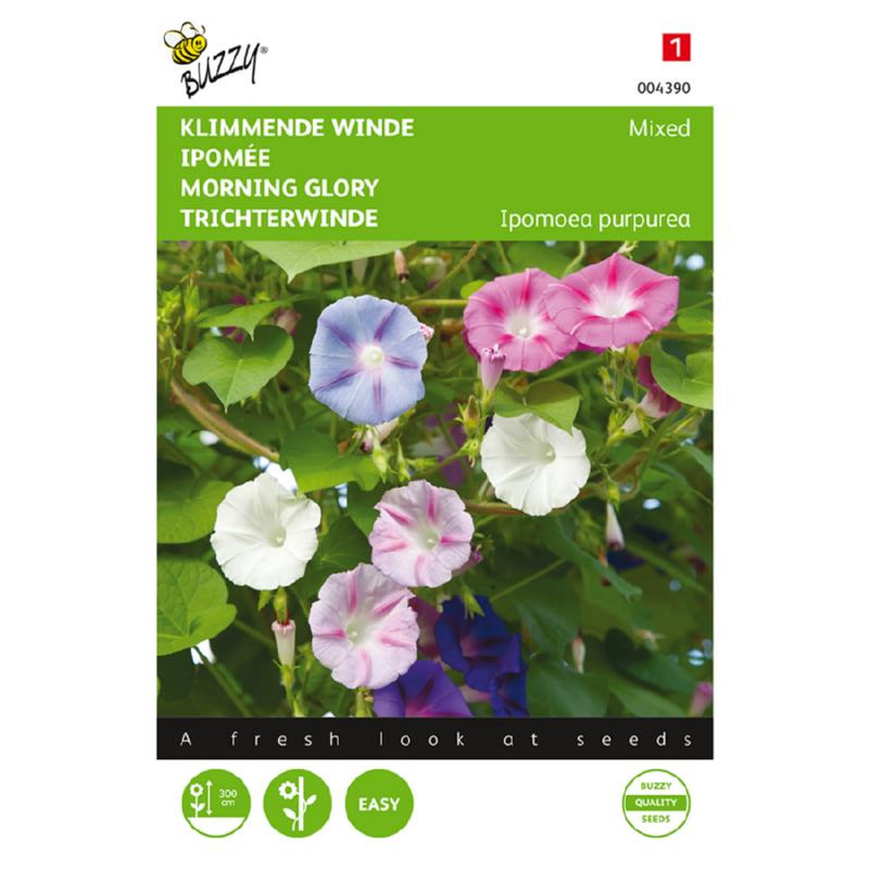 Buzzy Ipomoea seeds Morning Glory Mixed 2g (043904)