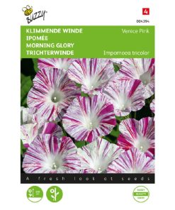 Buzzy® Ipomoea, Morning Glory seeds Climbing Bindweed Venice Pink 2g
