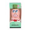 munakuppi-pig