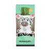 Buzzy Munakuppi - Zebra Wildlife Grow Pot