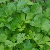 Parsley Festival 68