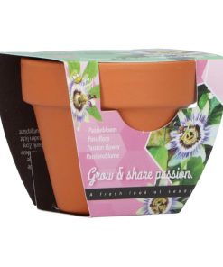 Buzzy Grow Gifts Passion Flower Mini Pot