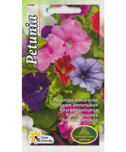 petunia-hanging