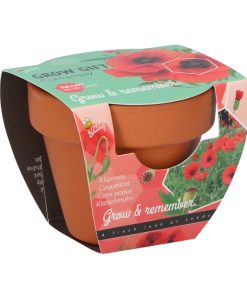 Buzzy Grow Gifts Poppy Mini Pot