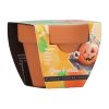 Buzzy Grow Gifts Pumpkin seeds in Teracotta Pot