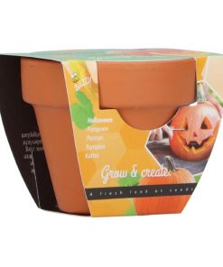 Buzzy Grow Gifts Pumpkin seeds in Teracotta Pot