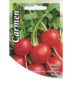 radish-carmen