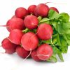 Radish Korund