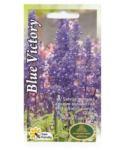 Salvia Seeds Mealy Cup Sage Blue Victory 0.1G