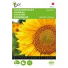 Buzzy Sunflower seeds Giganteus 4g (043423)
