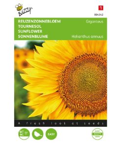 Buzzy Sunflower seeds Giganteus 4g (043423)