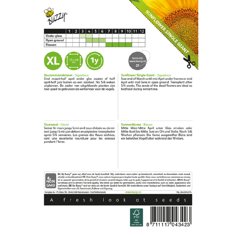 Buzzy Giant Sunflower 'Giganteus' Seeds 4g - Image 2