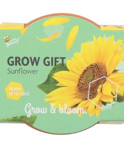 Alternative view of Buzzy Grow Gift Sunflower Mini Pot