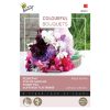 Buzzy Colourful Bouquets Sweet Pea Seeds Royal Family 5g (830726)