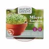 Buzzy Microgreens Terracotta Bowl Tatsoi
