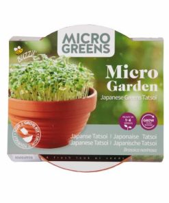 Buzzy Microgreens Terracotta Bowl Tatsoi