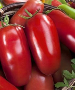 Tomato Eduardo H