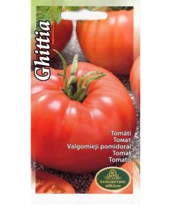 tomato-grittia